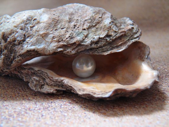 Perle à l'intérieur d'un coquillage