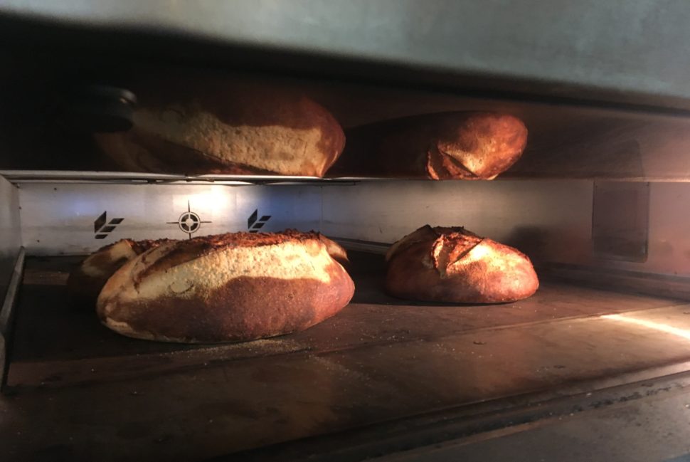 Miches au fournil (boulangerie Sain) : La cuisson revêt une importance fondamentale pour réaliser un pain à la croûte craquante, à la mie moelleuse tout en étant digeste