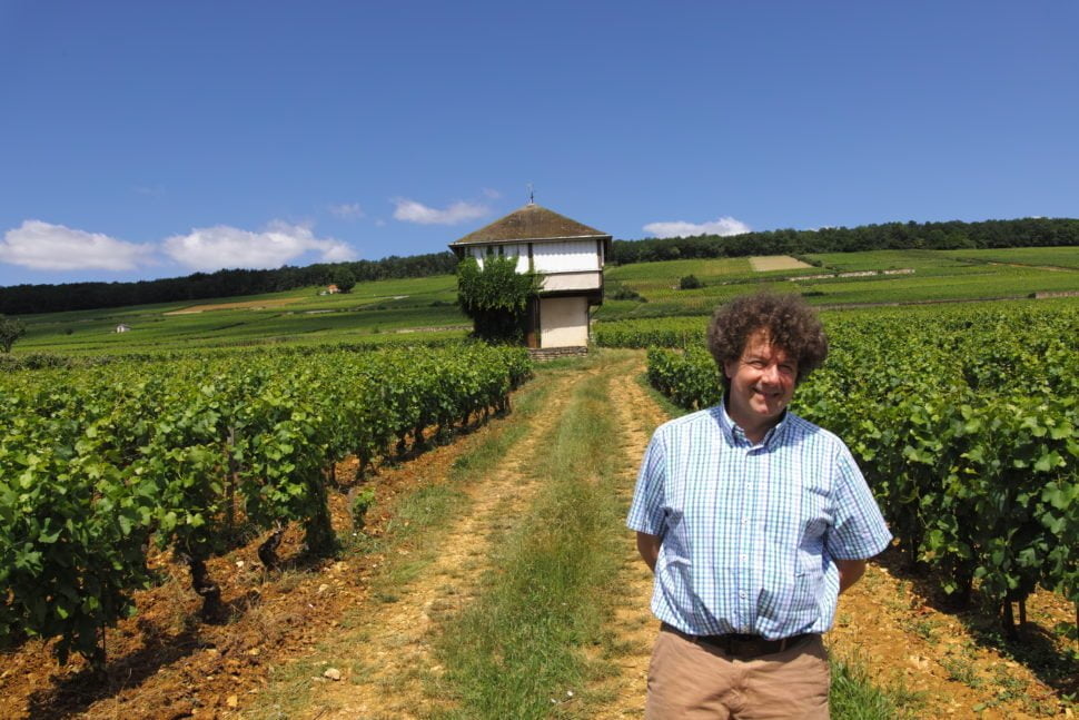 Philippe Pacalet, un des vignerons emblématiques de Bourgogne dans les vignes à Aloxe-Corton, une des communes des grands crus de Corton