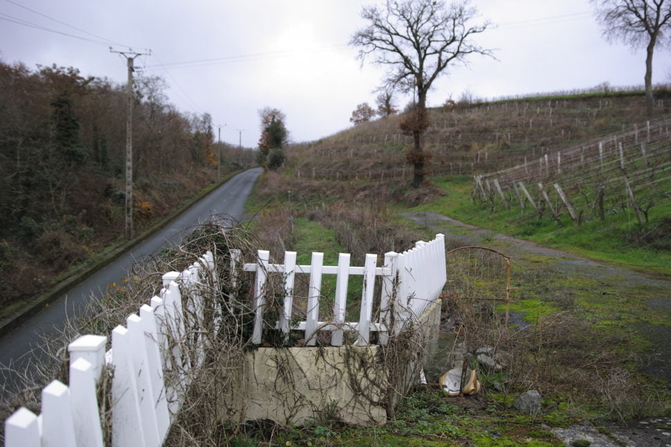 Les coteaux sur lesquels la vigne renaît, et une splendide nature protégée constituent un lieu idéal pour le développement de l’oenotourisme.