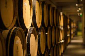 Les caves rouges du Sud boostent les vins du Rhône, du Gers et de Buzet