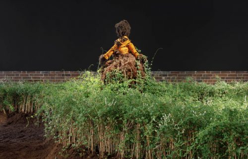 Les installations terrarium vivantes de Precious Okoyomo insufflent la conscience du monde de demain