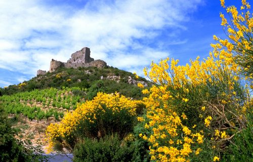 Les vignerons artisans de Cascatel et le domaine Esclarmonde représentent bien le Fitou, AOC du sud Languedoc