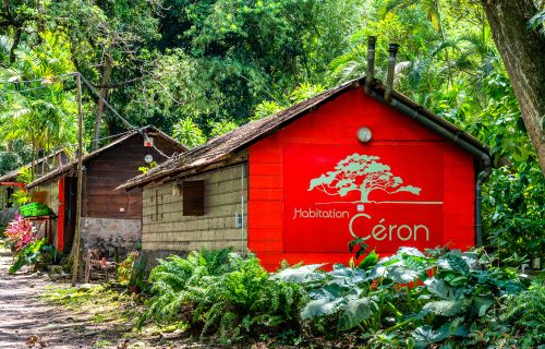 L’Habitation Céron, du parc éco-responsable au chocolat en Martinique