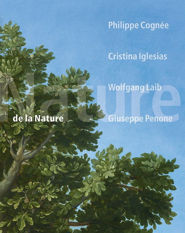De la nature : Philippe Cognée, Cristina Iglesias, Wolfgang Laib, Giuseppe Penone (Musée de Grenoble)