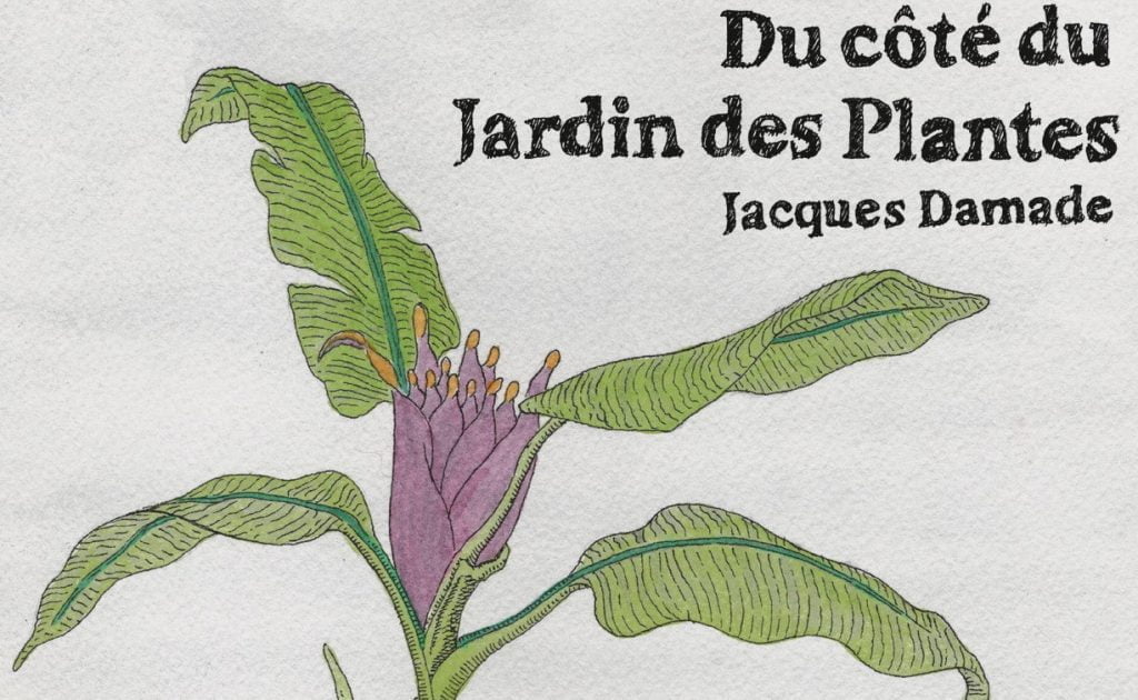 Littérature : Du côté du Jardin des Plantes, de Jacques Damade (éditions La Bibliothèque)