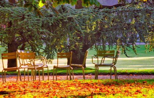 Un automne au Jardin du Luxembourg, répertoire de rencontres florales et informelles