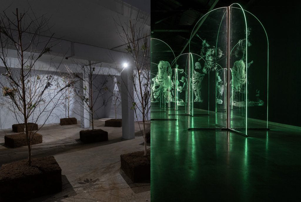 Exposition immersive : Super Terram, entre organique et virtualité (Fondation Desperados, espace Voltaire)
