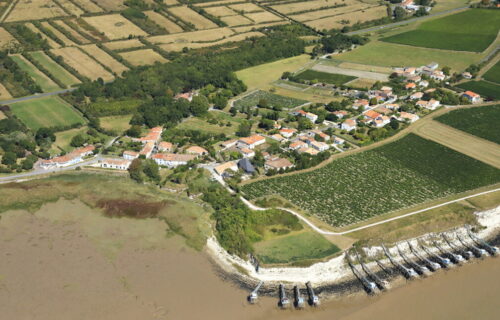 Les Hauts de Talmont sur Gironde se distingue par ses crus en biodynamie