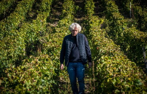 Florian Mollet fait du Roc de l’Abbaye, blanc de Sancerre une pépite de Loire