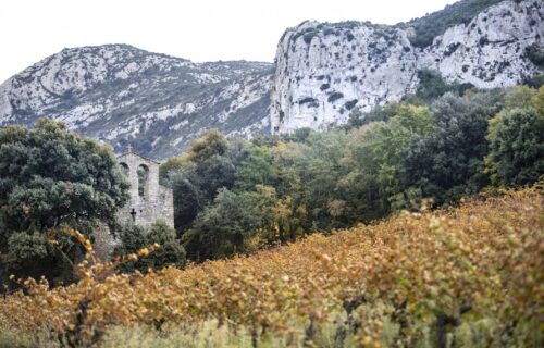 Castelmaure, la coopérative viticole emblématique du Languedoc et des Hautes Corbières.
