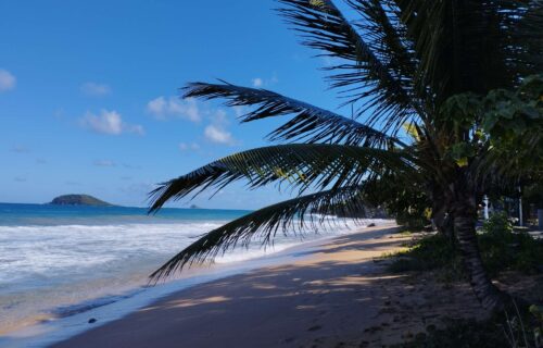 Les meilleurs hôtels 4 & 5 étoiles de la Guadeloupe : de Grande Terre à Basse Terre