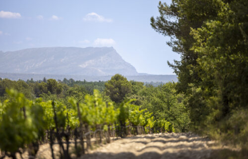 Les accords du Domaine de Bargemone aux Vendredis du vigneron (Bistrot du sommelier)