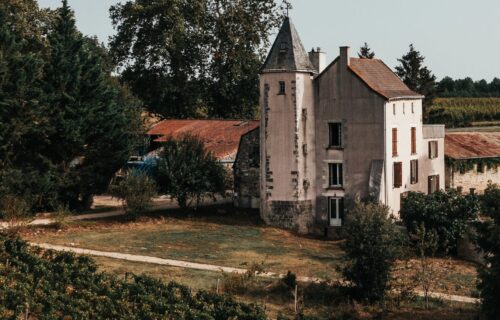 Paon Perché dans le Poitou promeut la culture du vin bio en investissant sur l’humain