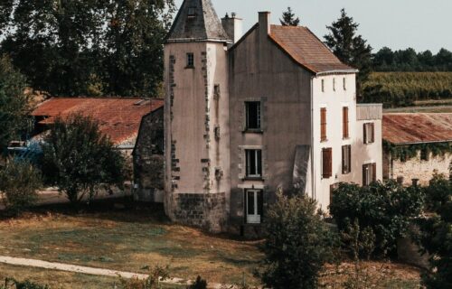 Paon Perché dans le Poitou promeut la culture du vin bio en investissant sur l’humain