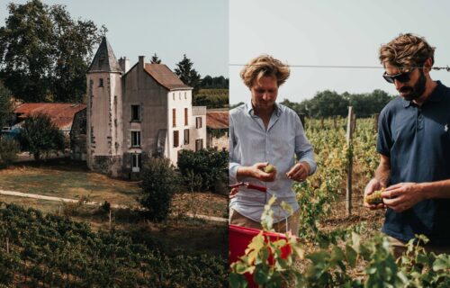 Paon Perché dans le Poitou promeut la culture du vin bio en investissant sur l’humain